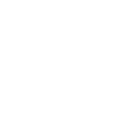 Bs Thd Logo Primary Wo Themeline Outline
