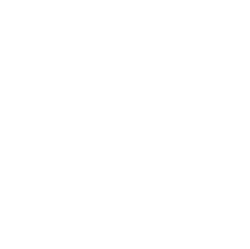 Southernco V W